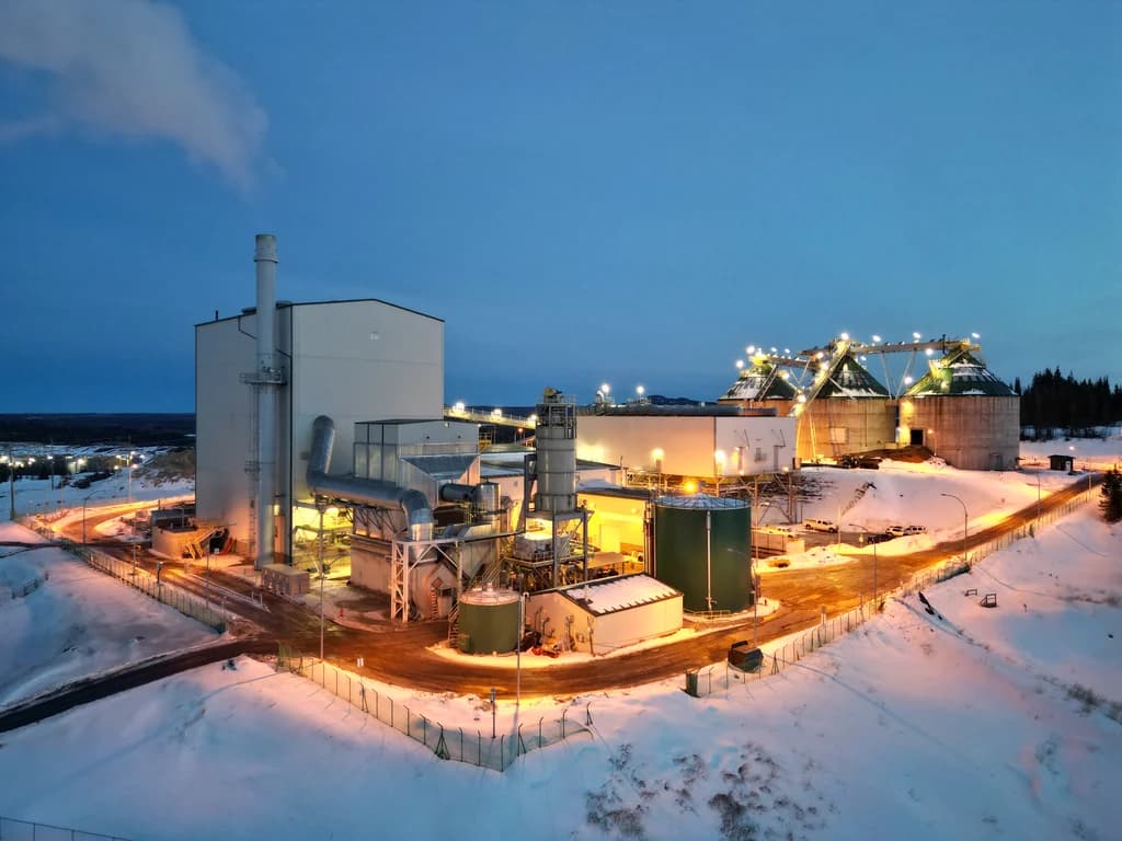 Biomass & Bioenergy